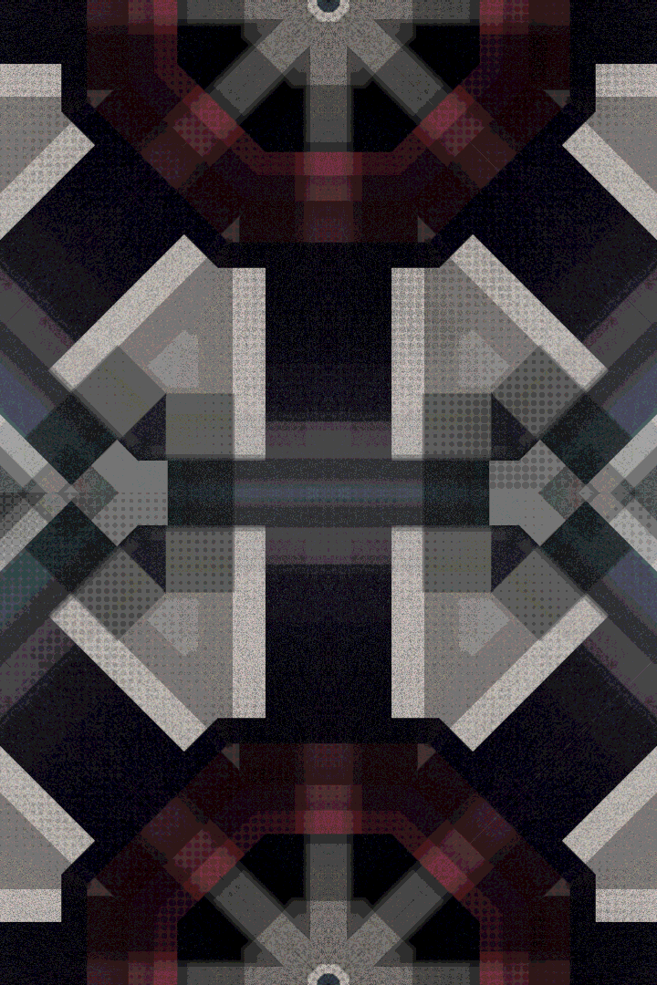 MOMENTA #11