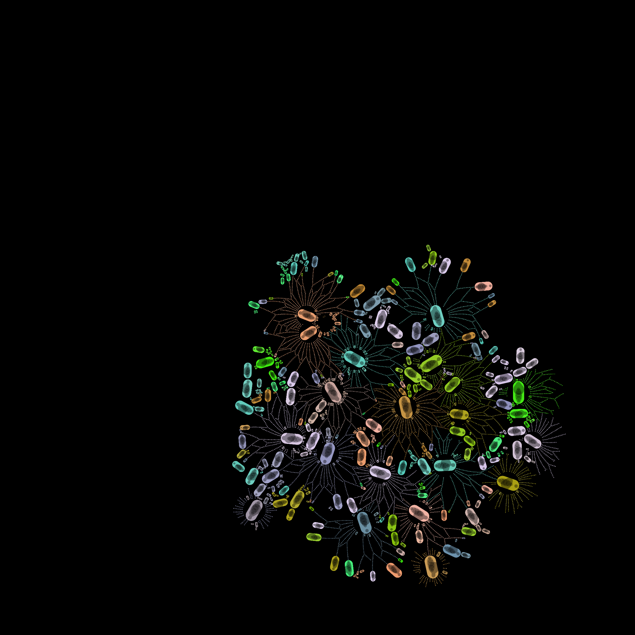 Circle Of Life #119