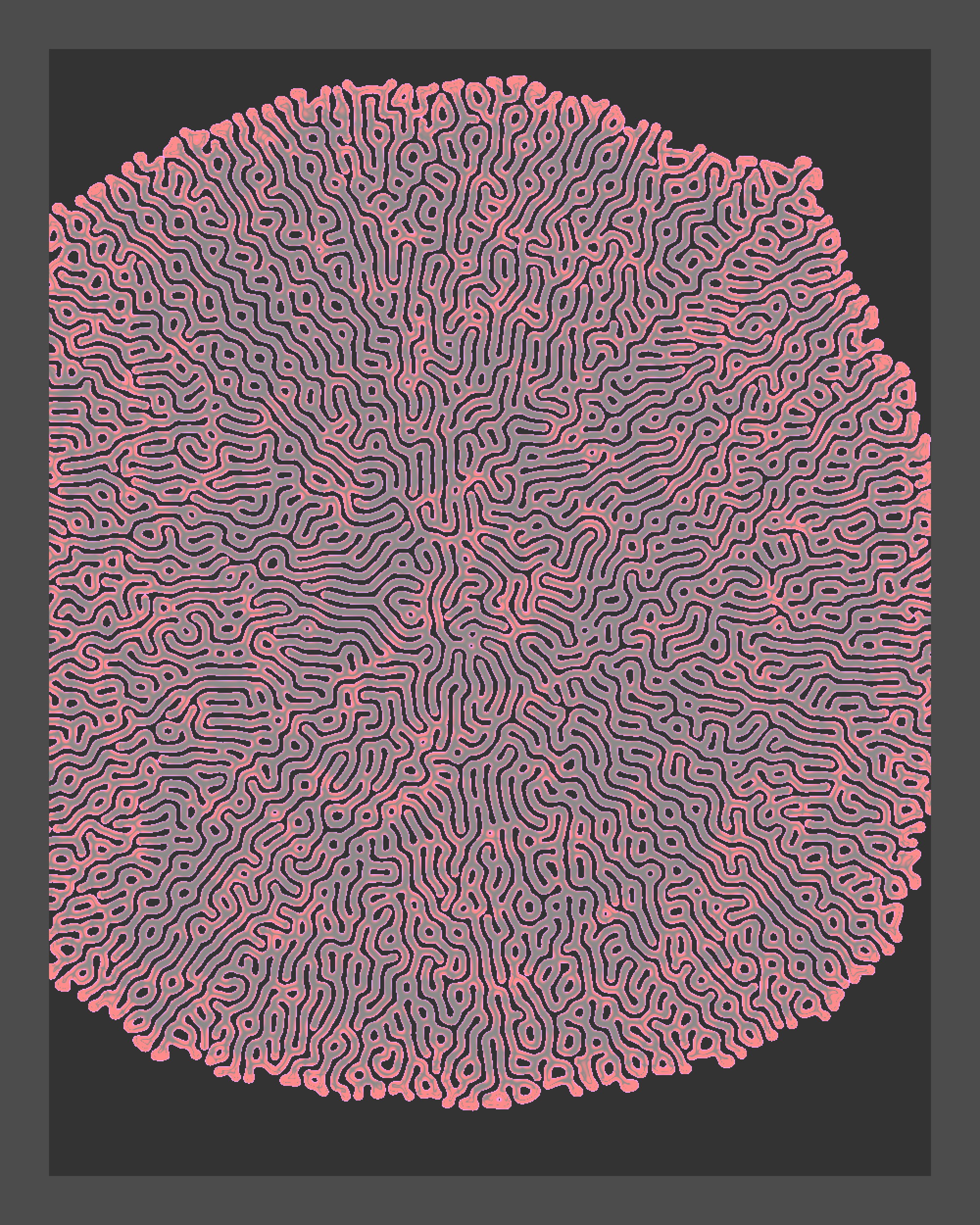 Turing Test #9