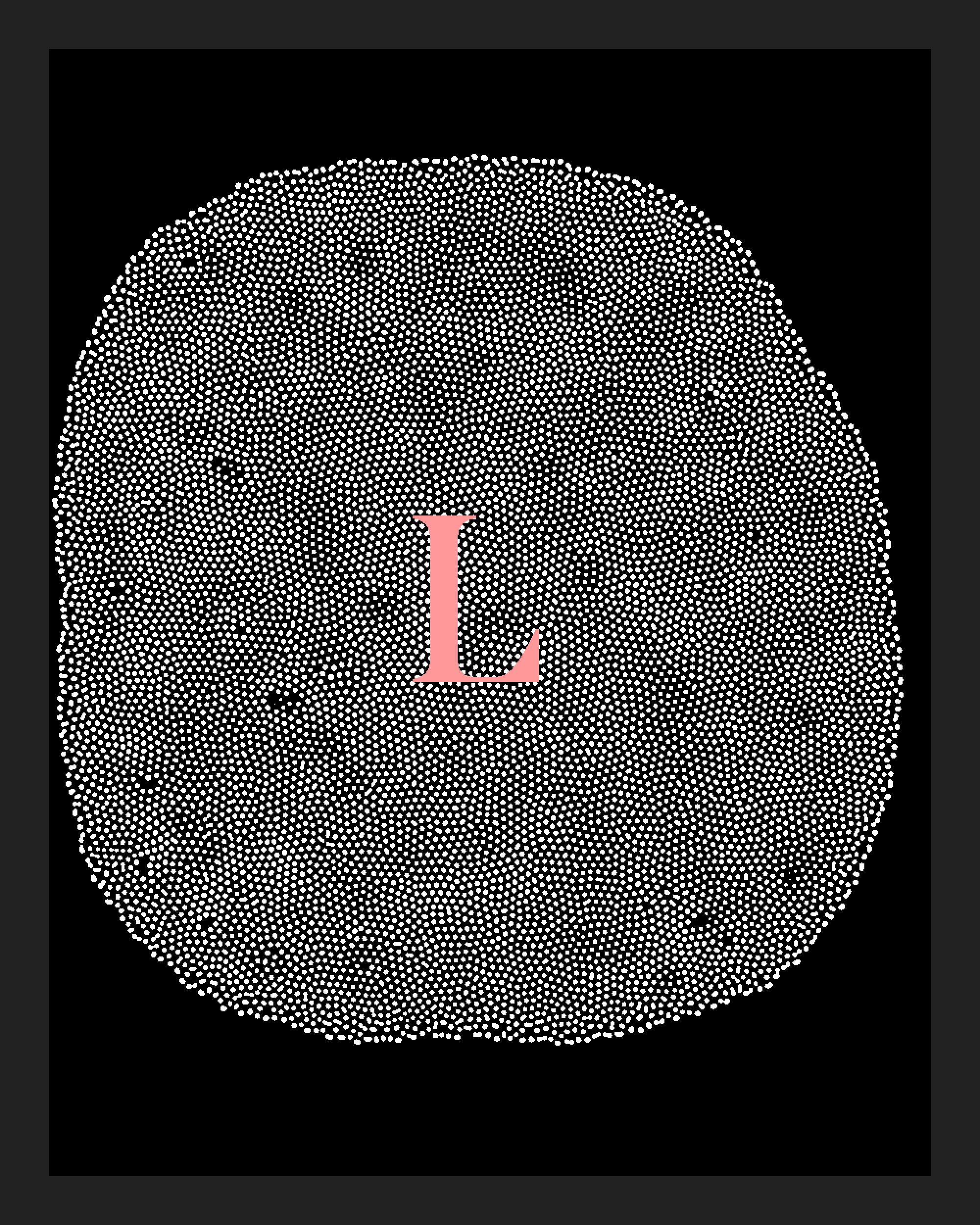 Turing Test #250