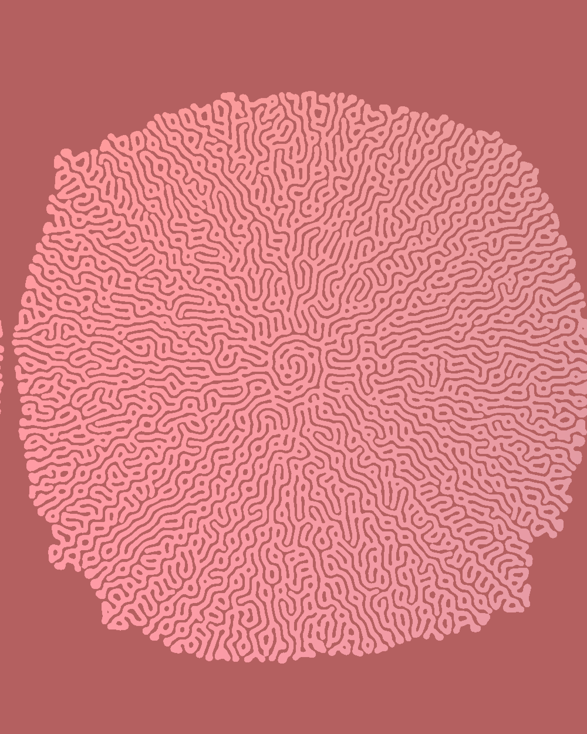 Turing Test #323