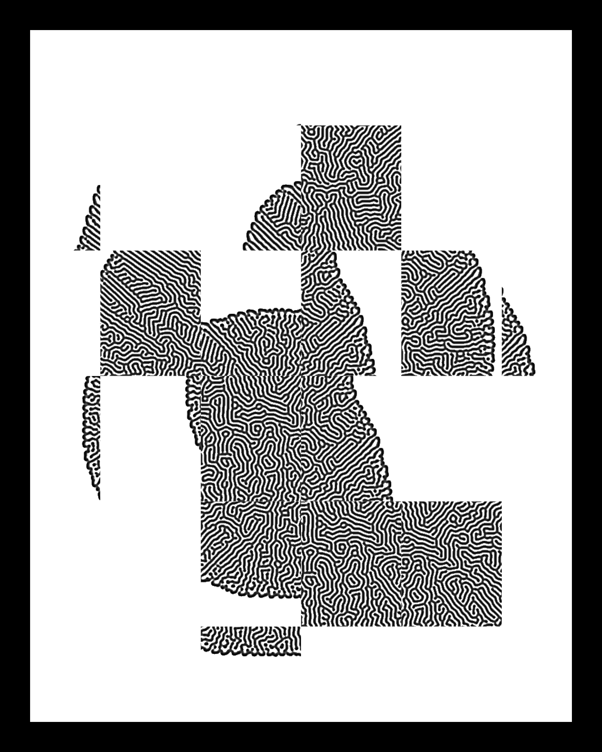 Turing Test #5
