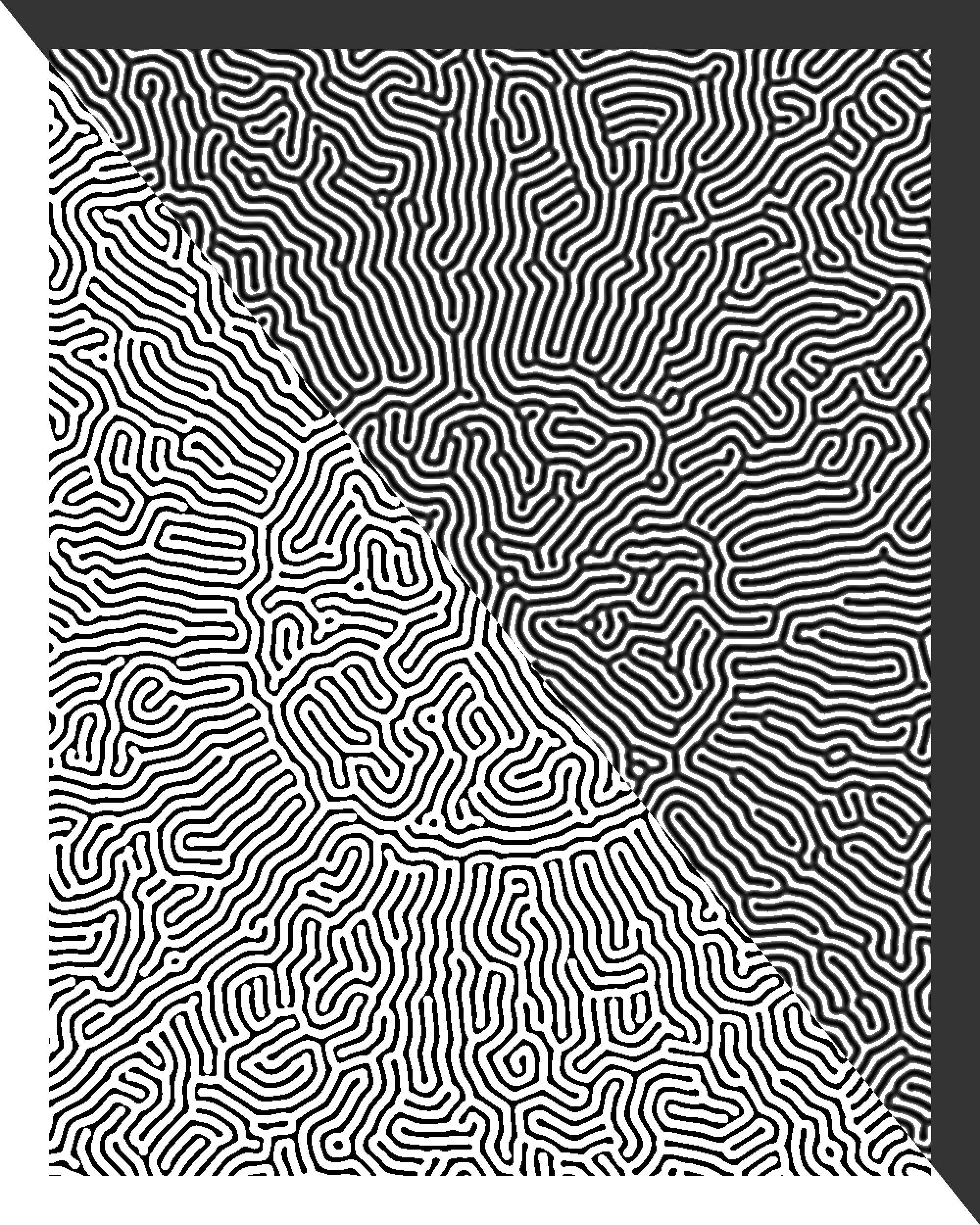Turing Test #242