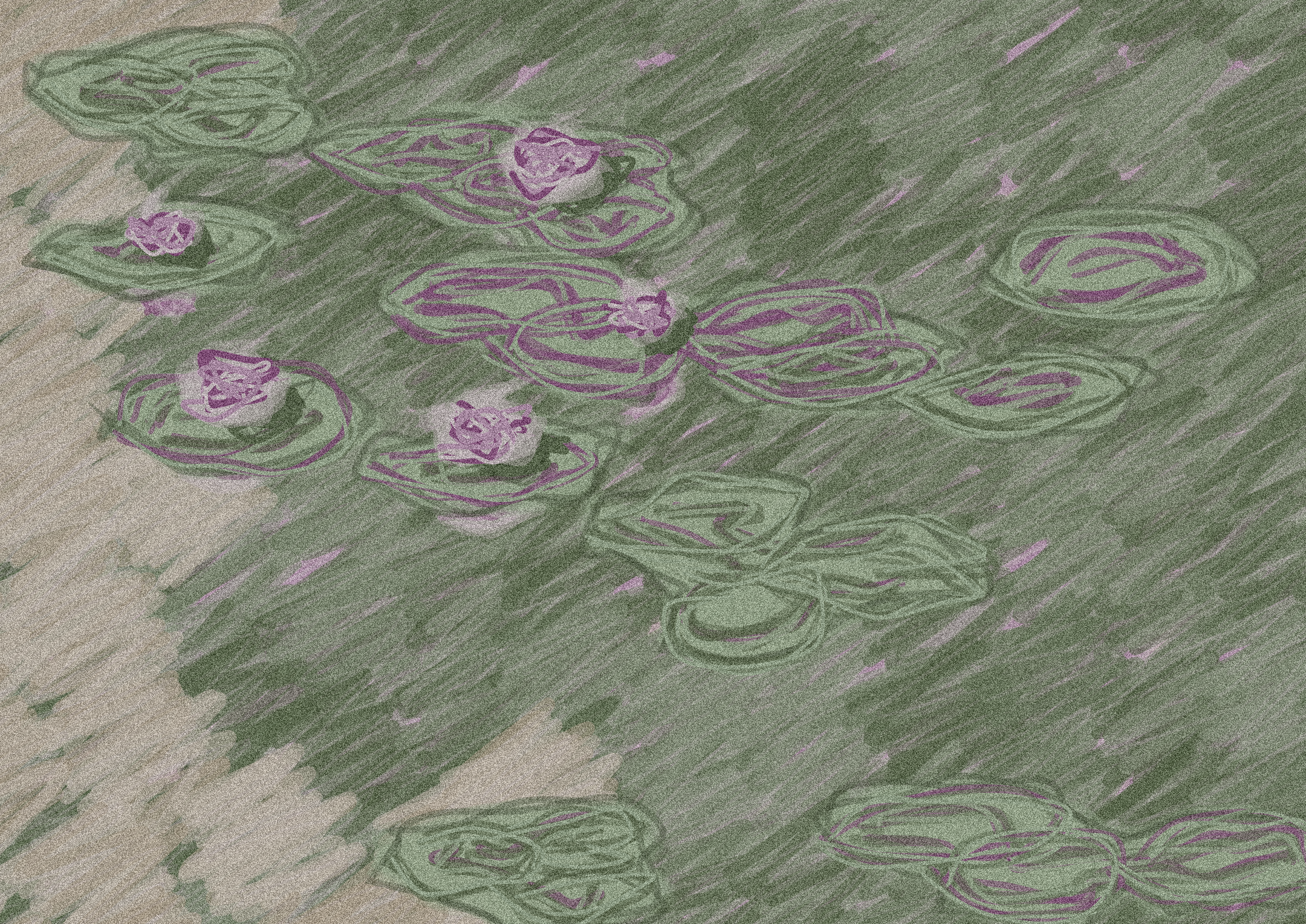 Water Lilies #12