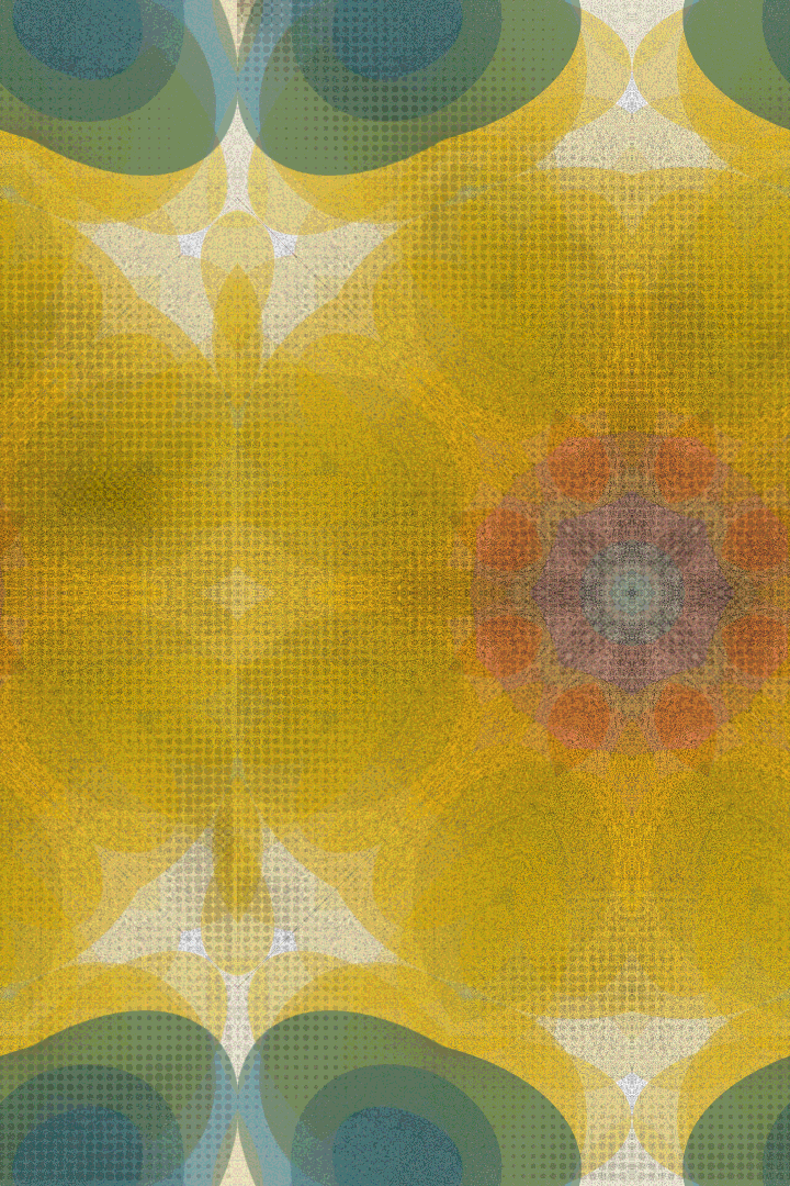 MOMENTA #34